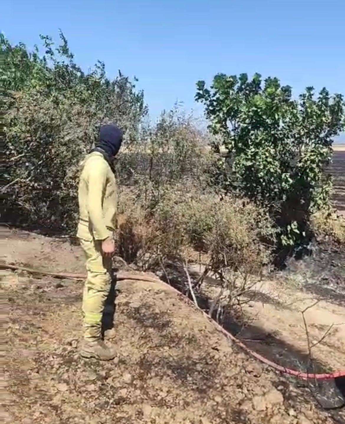 Milas’ta Arazi Yangını Alevlere Büyümeden Müdahale Edildi 1